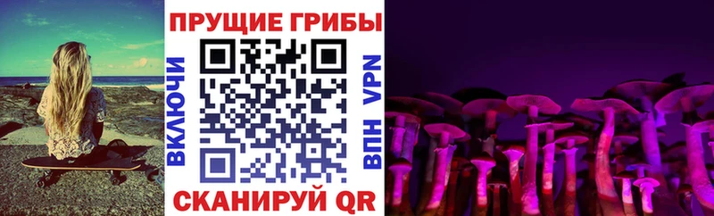 цена наркотик  Малгобек  Псилоцибиновые грибы мухоморы 