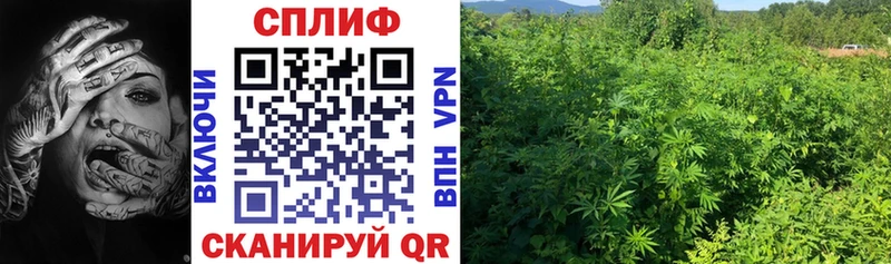 Канабис Bruce Banner  omg сайт  Малгобек 